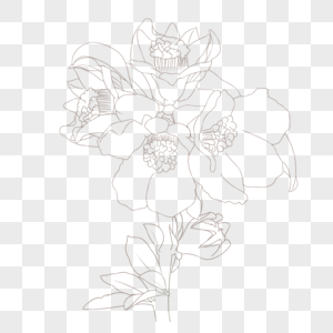 石榴花元素素材下载 正版素材 摄图网