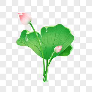 金银花元素素材下载 正版素材 摄图网