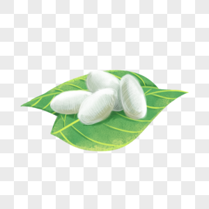 手绘芋头叶子蚕茧素材