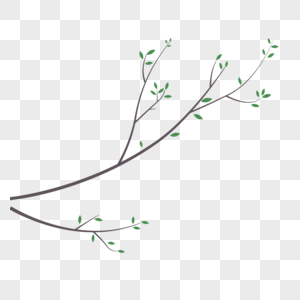 树枝条图片