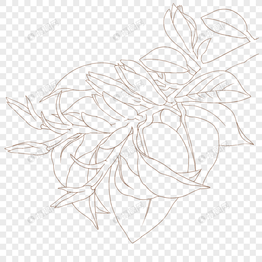 白兰花简笔画元素素材下载 正版素材 摄图网