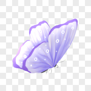 飞翔的花蝴蝶图片