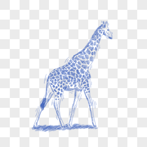 蓝色线条动物简笔画长颈鹿图片