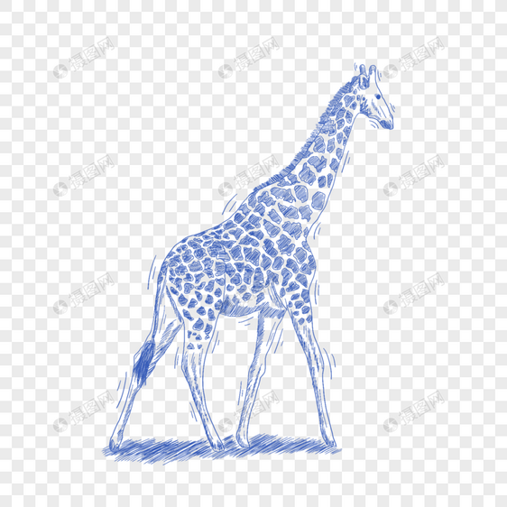 蓝色线条动物简笔画长颈鹿图片