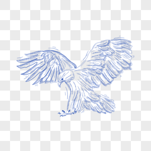 蓝色线条动物简笔画老鹰高清图片