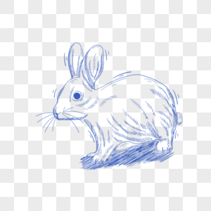 蓝色线条动物简笔画兔子图片