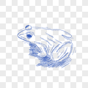 蓝色线条动物简笔画青蛙图片