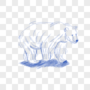 蓝色线条动物简笔画棕熊图片