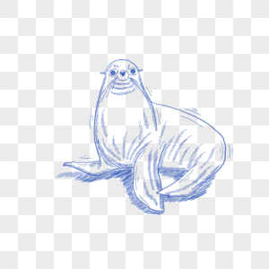 蓝色线条动物简笔画海豹图片
