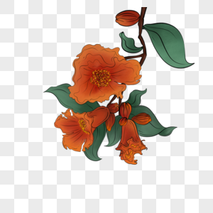 石榴花美图元素