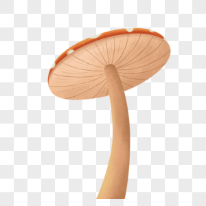 谷雨蘑菇图片