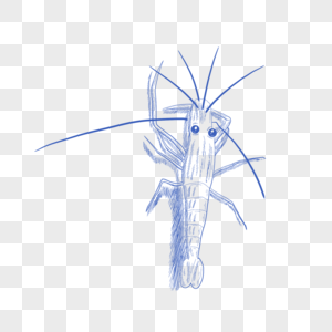 蓝色线条动物简笔画虾图片