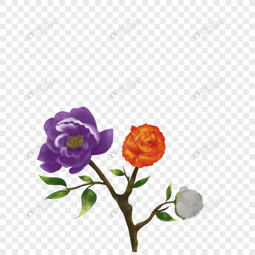 蔷薇花元素素材下载 正版素材 摄图网 蔷薇花元素素材下载 正版素材 摄图网