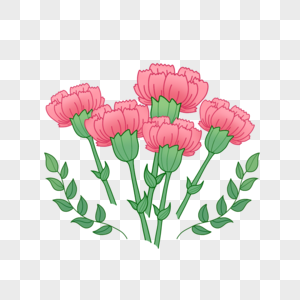 红色康乃馨红色母亲节花束高清图片