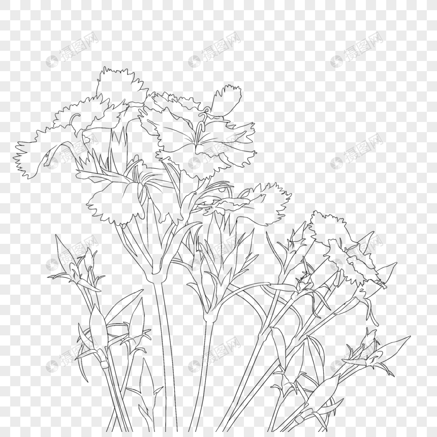 石竹简笔画