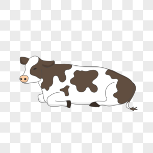 卧着的奶牛图片