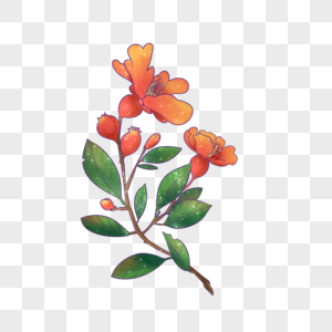 石榴花元素素材