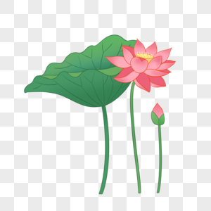 夏季小雏菊背景元素素材下载 正版素材 摄图网 夏季小雏菊背景元素素材下载 正版素材 摄图网
