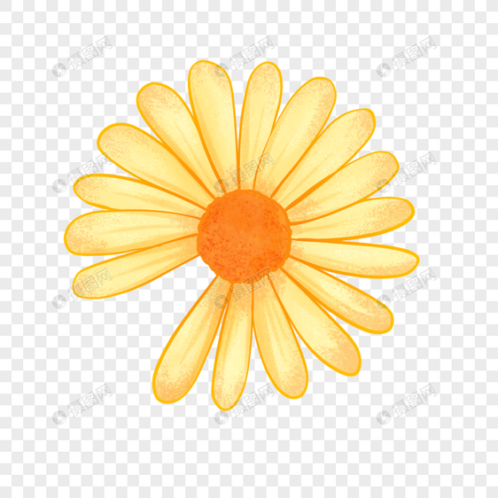 手绘夏天的黄色小雏菊图片