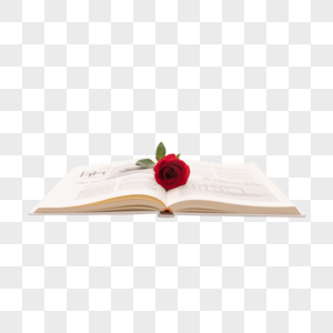 520玫瑰花与书本高清图片