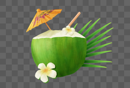 夏季青椰子图片