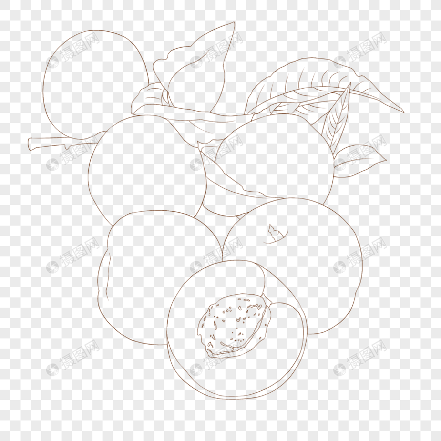 油桃简笔画