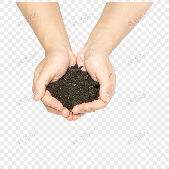双手捧起泥土里的植物图片