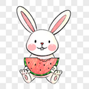 坐着吃瓜的兔子图片