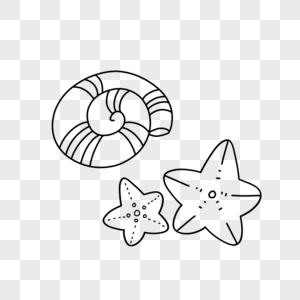 海螺简笔画图片