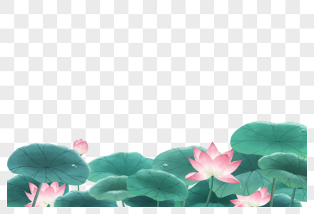 荷花合成荷花池素材