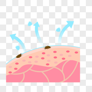 螨虫解决痛点高清图片