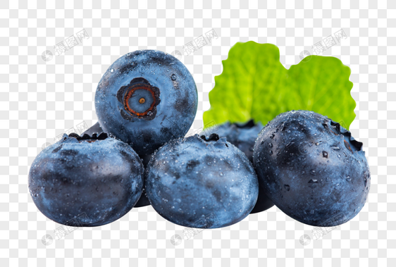 蓝莓果实图片