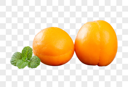 甜杏子 甜杏子图片 甜杏子图片素材大全 摄图网