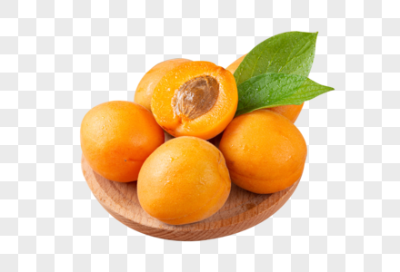 一盘杏子野杏水果山高清图片