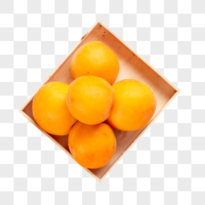 杏子图片 杏子素材 杏子高清图片 摄图网图片下载