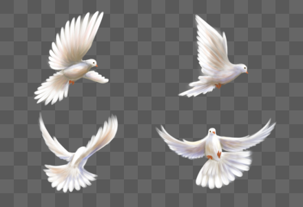 飞翔动态的和平鸽子组合高清图片