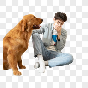 生病的男孩与陪伴的金毛犬图片