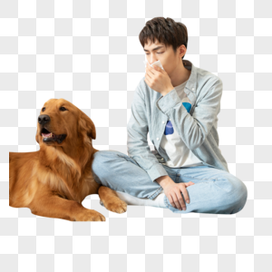 生病的男孩与陪伴的金毛犬图片