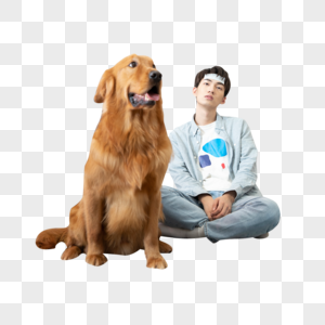 生病的男孩与陪伴的金毛犬图片