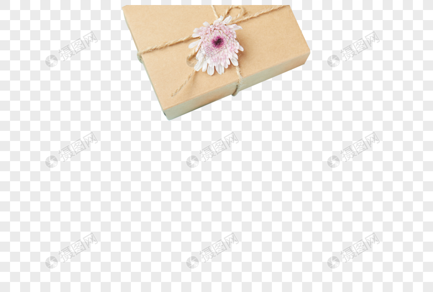 小雏菊礼物盒图片
