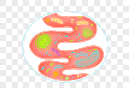 肠道健康益生菌粉高清图片