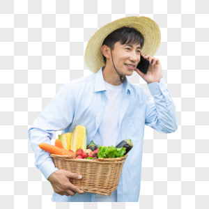 农民蔬菜大棚采摘蔬菜打电话图片