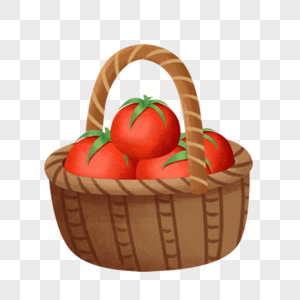 一篮西红柿图片