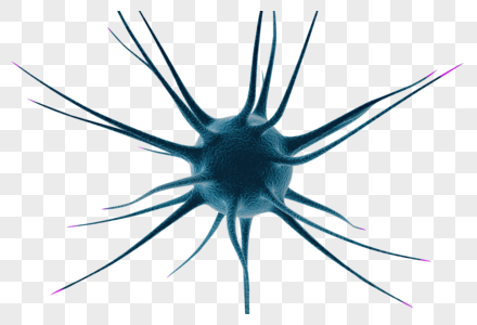 神经细胞神经细胞素材高清图片