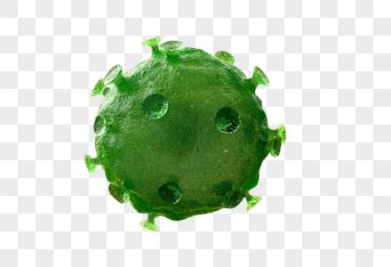 细菌病毒模型霉菌高清图片