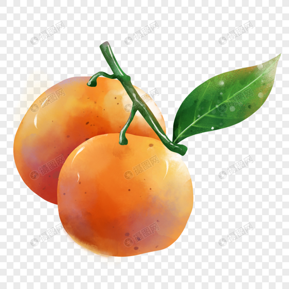 水彩橘子图片