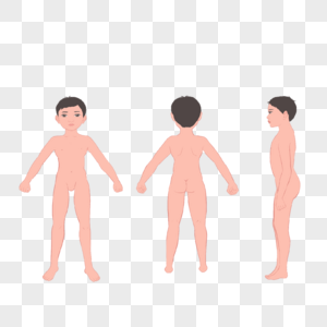 男孩人体三视图图片