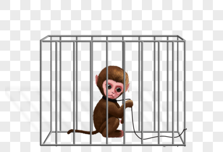关在笼子里的猴子图片