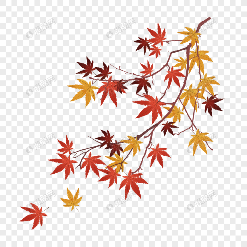 秋天红叶飘落元素素材下载 正版素材 摄图网 秋天红叶飘落元素素材下载 正版素材 摄图网