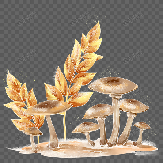 蘑菇结霜图片